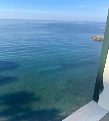 Il nido sul mare blu
