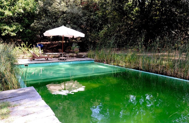 Il Poggio B&B