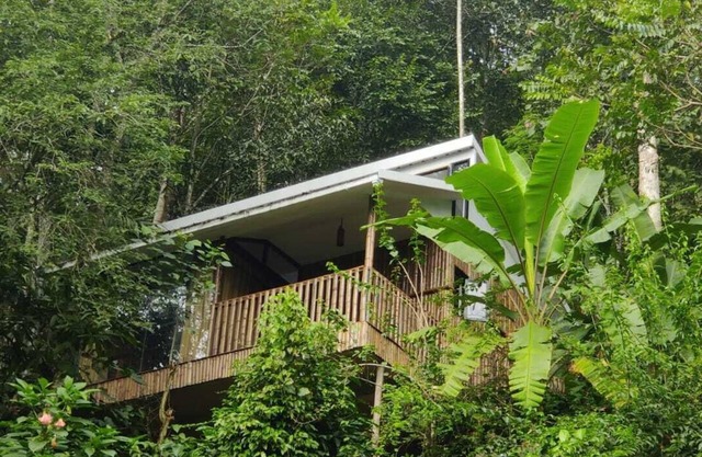 Illi Villa Cozy Bamboo claded Nature friendly cottage in Munnar in Spices farm