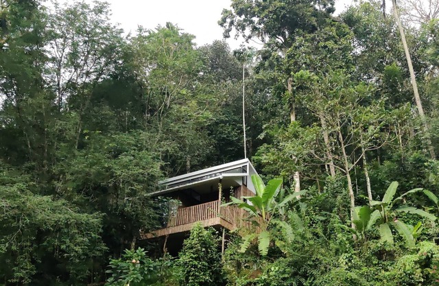 IlliVilla Bamboo claded single room cottage inside Organic Spices Farm in Munnar
