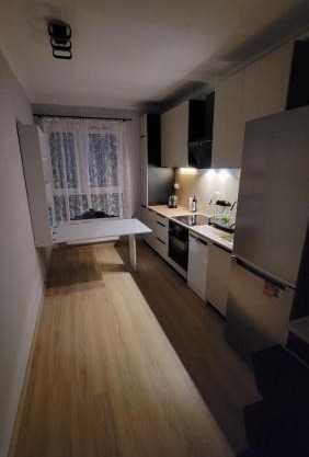 Illumina nowoczesny apartament 50m2, spokojna okolica, 25min do centrum