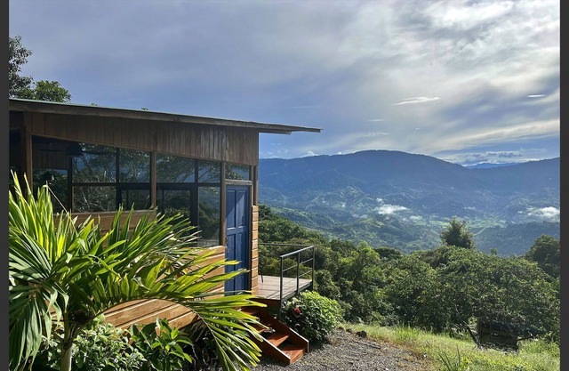 Illuminated Vision / Vision Iluminada