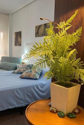 ILVE Apartment