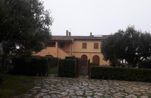 IMMERSA NEL VERDE