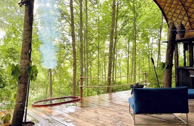 ¡Sumérgete en el bosque! (Citlalapa)