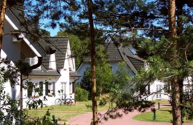 In Einem Küstenwald Direkt an der Ostsee
