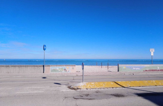 Frente al mar, de la playa perro cerca