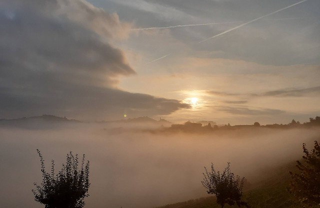 In Langa, UNESCO area 20 km from Alba, country house surrounded by vineyards