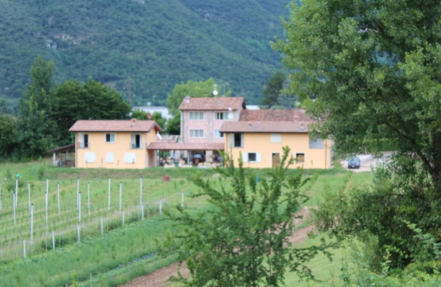 En el campo cerca del lago de Garda