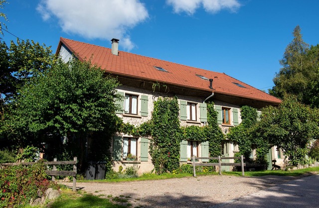 In the Vosges, la Retorderie gîte: 11 people, sauna, fireplace, catamaran net