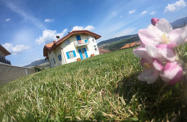 Vacaciones en Trentino entre los Dolomitas y Magdalena: ¡relájate en el verde, súper ofertas!