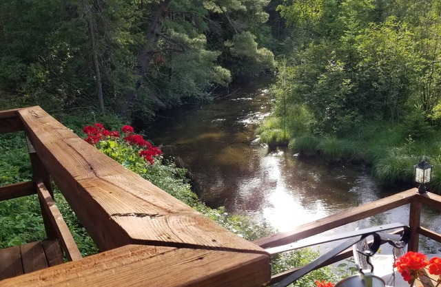 In the heart of Michigan's Elk Country...on the bank of Crooked Creek & 20 acres