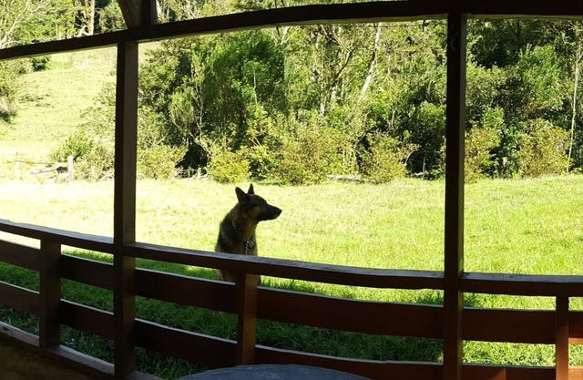 EN EL CORAZÓN DE MONTEVERDE. PROPIEDAD DE 300 ACRE