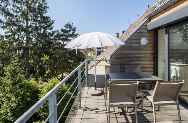 en el corazón de Estrasburgo bonito apartamento de 2 dormitorios con una gran terraza 1