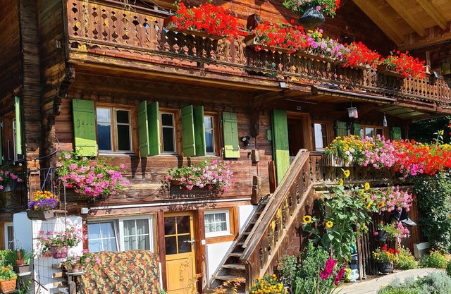 Authentic Ormonts chalet from 1767