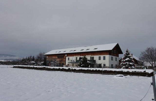 En medio de los Alpes / En medio de los Alpes