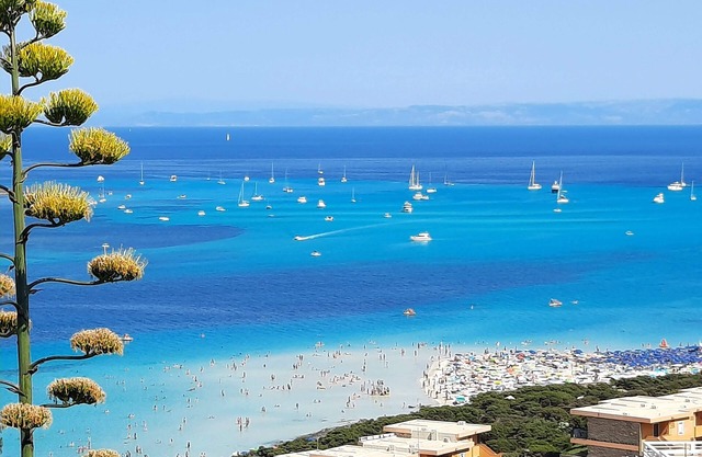 In the sea of Stintino