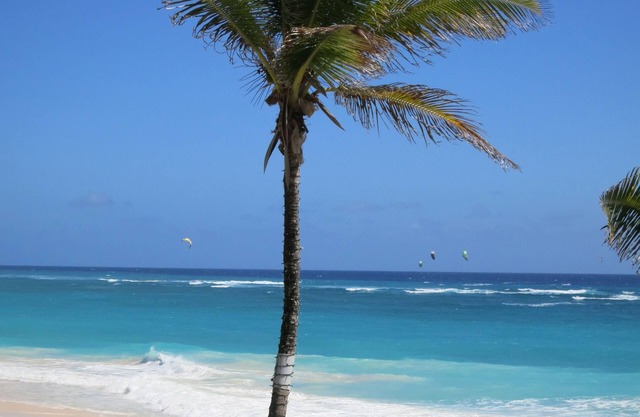 Inchcape Seaside Villas