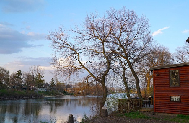 Indiana Dunes. Split-log Cottage on Lagoon. 3blks Lake Michigan/Beach. Bikes.