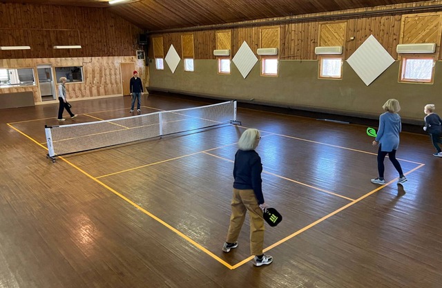 Indoor pickle ball + sauna at lakeside 13BR house, Lakeside Property with Indoor Pickle Ball!