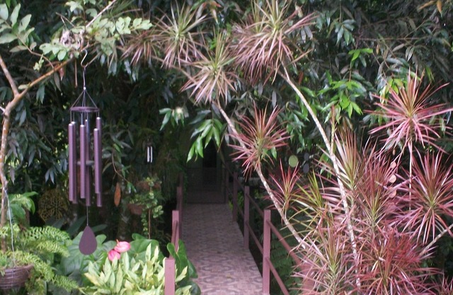 Casita in a little jungle