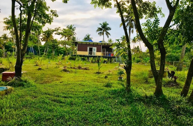 Inland Island - de vuelta a la naturaleza
