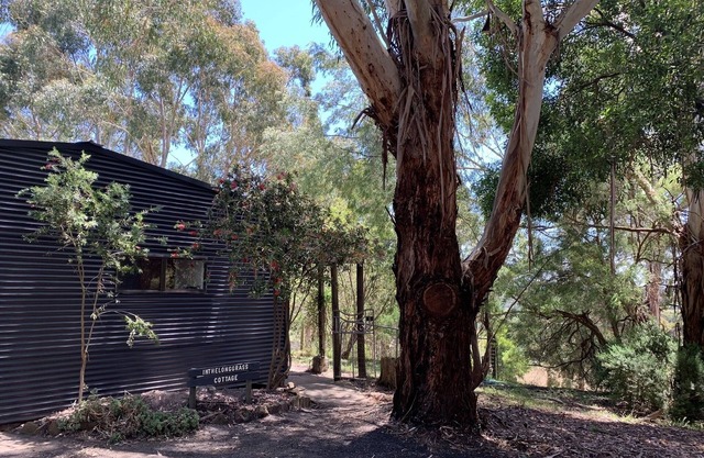 inthelonggrass casa