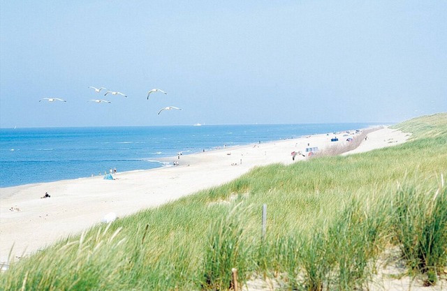 Inviting Coastal Haven | Near Wind-Sculpted Dunes and Quiet Woodland Paths