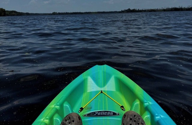 Iowa Cabin: Rustic+Cozy. Lake Odessa water-view. Hunt, kayak, fish or explore.