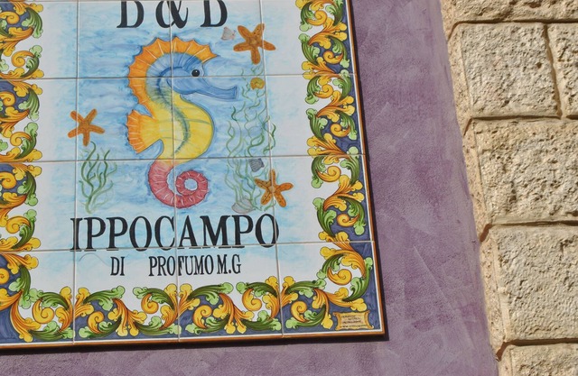 Ippocampo