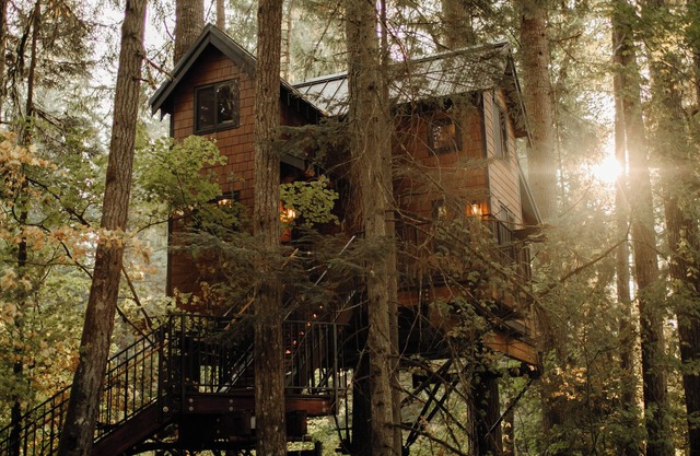 Iron & Vine Treehouse at Mount Rainier