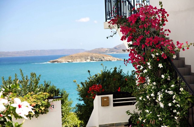 Isadora Apartments