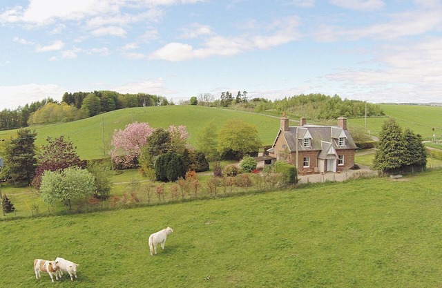 Islabank Farmhouse - SAAP