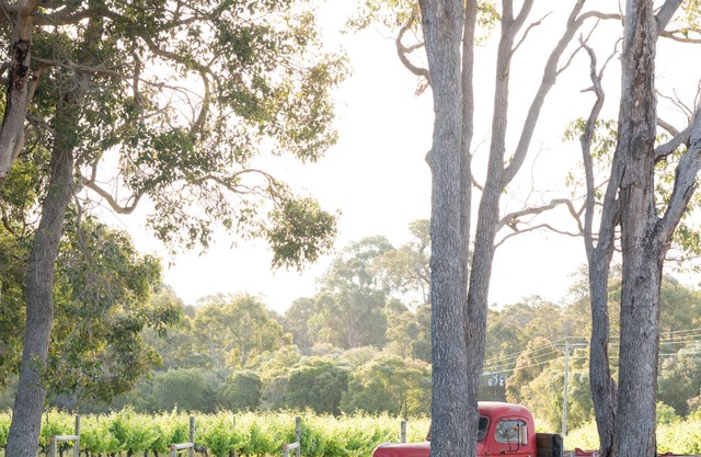 Island Brook Cabernet Chalet- Exclusive Escapes. Rural vineyard chalet in Margaret River