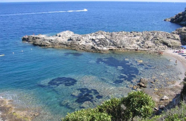 Isola D Elba Capo D Arc: Isola d'Elba - Villa en el promontorio entre las flores y los perfumes