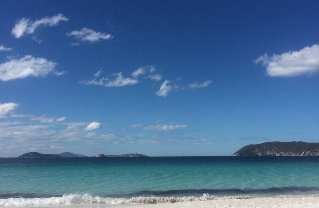 Island View November Special