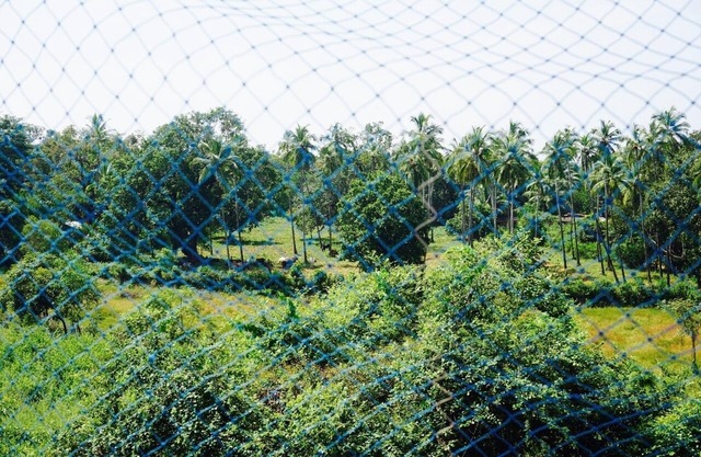 Es un lugar muy tranquilo, con vista al exuberante bosque verde y campos de arroz