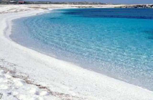 "Holiday Sun and Sea" a 200 metros de la playa