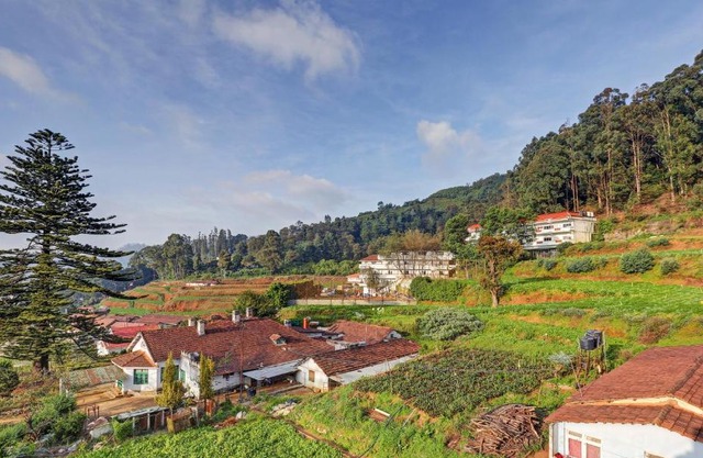 Itsy Hotels Rain Forest