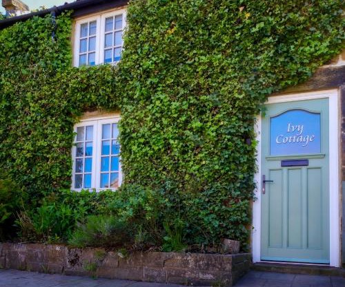 Ivy Cottage