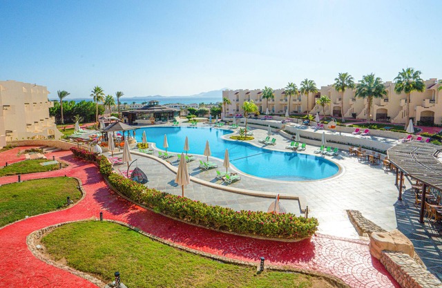 Ivy Cyrene Sharm Resort Adults Friendly Plus 13
