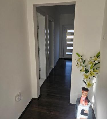 Ivys apartman