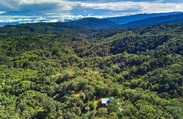 Iyok Ami (Madre Tierra)