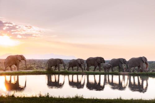 Jabulani Safari