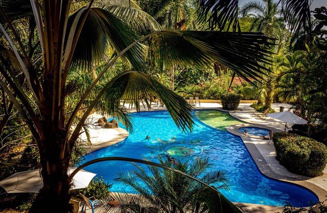 Jaco Hotel Docelunas