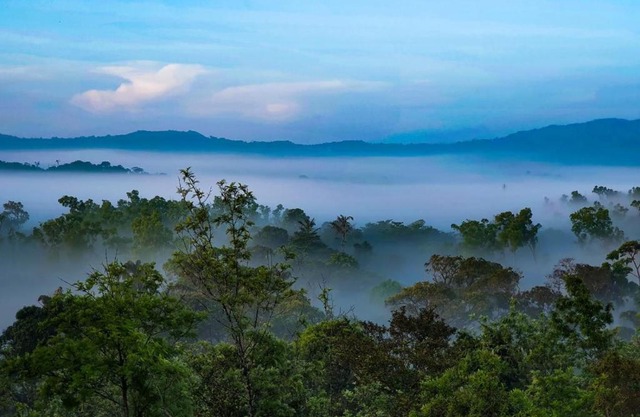 Jade Hills Coorg
