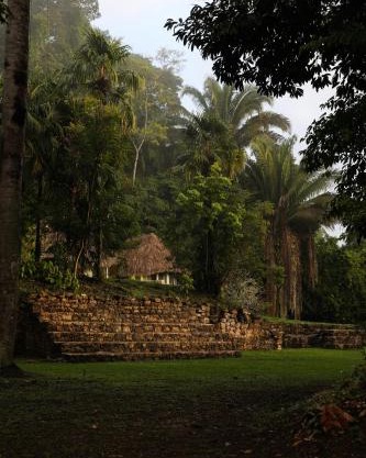 Jade Jungle Resort