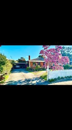 Jalynn 1 Cottage