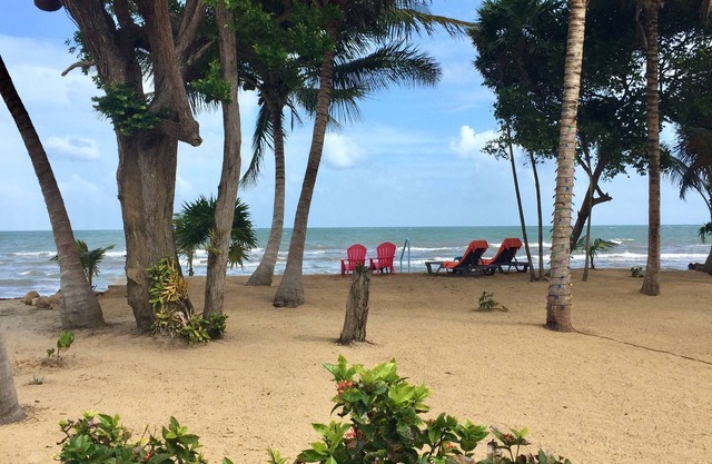 Jan's Beach Cabana / Hopkins- Frente a la playa privada con espacioso interior
