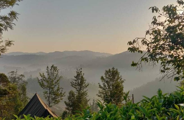Janardan Tea Resort - Campsite